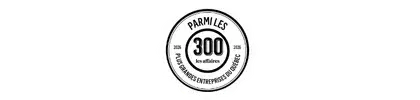 Logo_Parmi les 300 meilleures entreprises au Quebec par Les Affaires